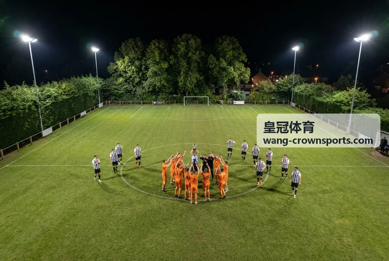 皇冠体育数字体验平台界面展示